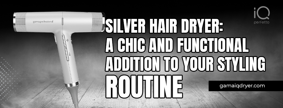 Silver Hair Dryer
